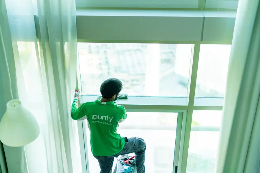 An iPurity technician cleaning a tall apartment window from inside, framed by curtains