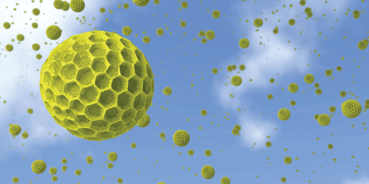 INSIDE Your Home: The Ugly Invaders Which Can Make You Sick