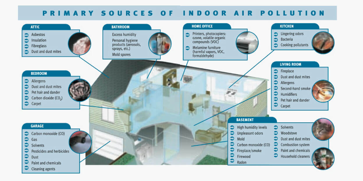 Unveiling the Serious Health Impacts of Air Pollution